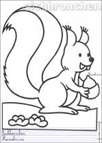 coloriage-ecureuil-1